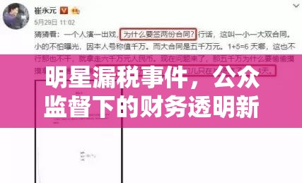 明星漏稅風(fēng)波，公眾監(jiān)督與財務(wù)透明度的新挑戰(zhàn)