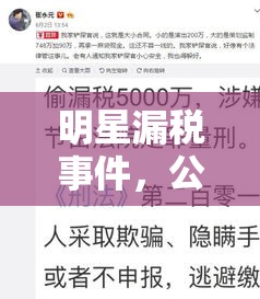 明星漏稅風(fēng)波，公眾監(jiān)督與財務(wù)透明度的新挑戰(zhàn)