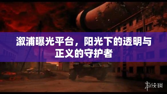溆浦曝光平臺，透明與正義的守護者