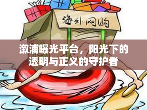 溆浦曝光平臺，透明與正義的守護者