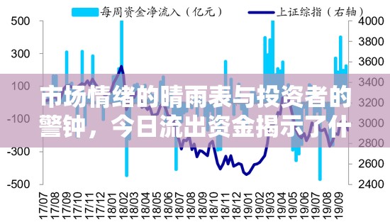 市場情緒的晴雨表與投資者的警鐘，今日流出資金揭示了什么？