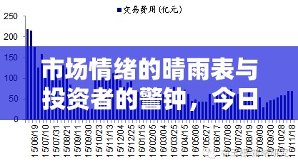 市場情緒的晴雨表與投資者的警鐘，今日流出資金揭示了什么？