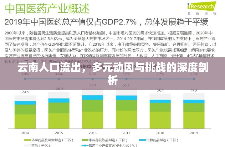 云南人口流出，多元?jiǎng)右蚺c挑戰(zhàn)的深度剖析