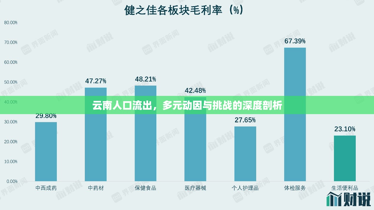 云南人口流出，多元?jiǎng)右蚺c挑戰(zhàn)的深度剖析