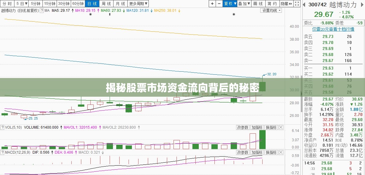 股票市場(chǎng)資金流向揭秘，背后的真相
