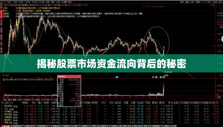 股票市場(chǎng)資金流向揭秘，背后的真相
