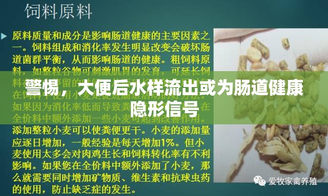 警惕，大便后水樣流出或為腸道健康隱形信號
