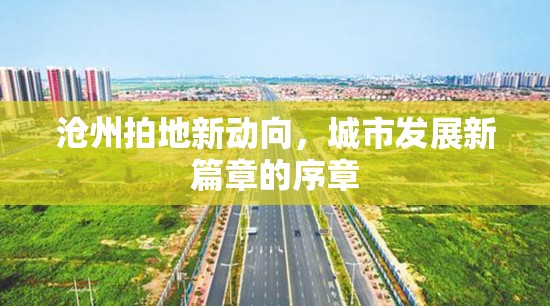 滄州土地市場新動態(tài)，城市發(fā)展新篇章的開啟