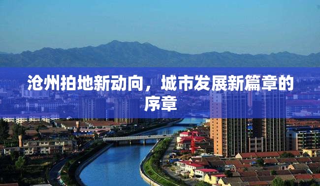 滄州土地市場新動態(tài)，城市發(fā)展新篇章的開啟