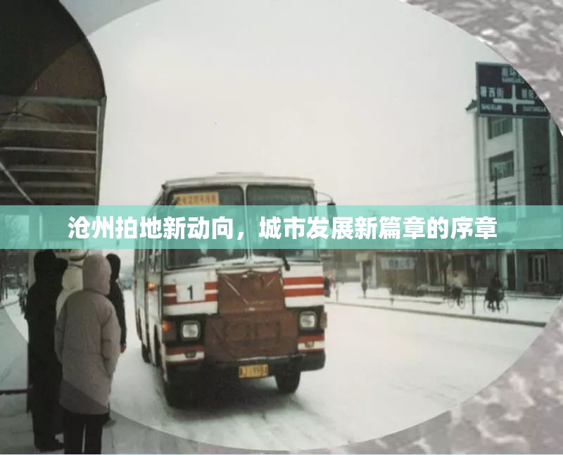 滄州土地市場新動態(tài)，城市發(fā)展新篇章的開啟