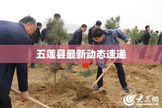 五蓮縣最新動態(tài)速遞