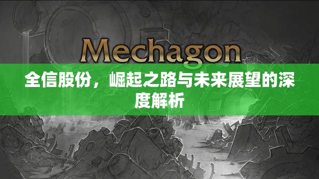 全信股份，崛起之路與未來(lái)展望的深度解析