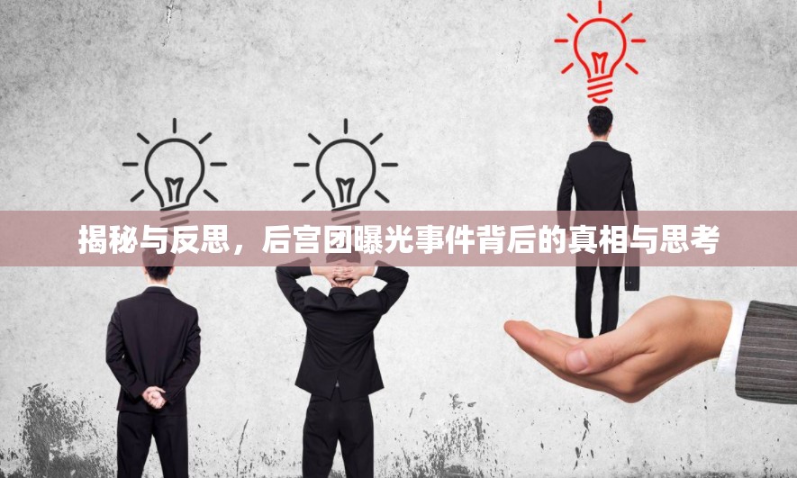后宮團曝光，揭秘背后的真相與反思