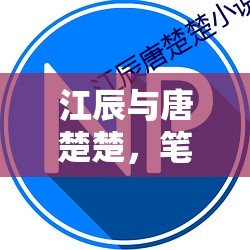 筆尖情緣，江辰與唐楚楚的愛情篇章