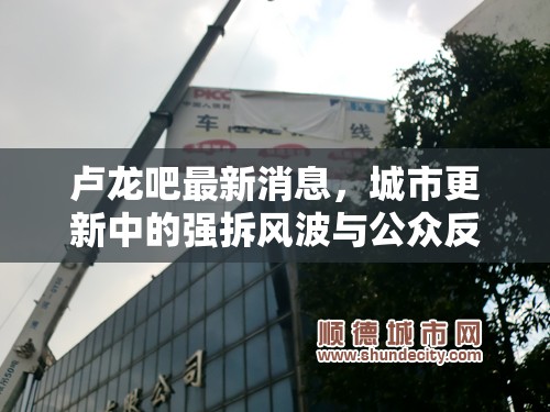 盧龍城市更新，強拆爭議與公眾反思