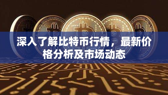 比特幣市場深度解析，價格走勢與動態(tài)更新