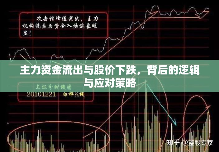 主力資金流出與股價下跌，背后的邏輯與應對策略