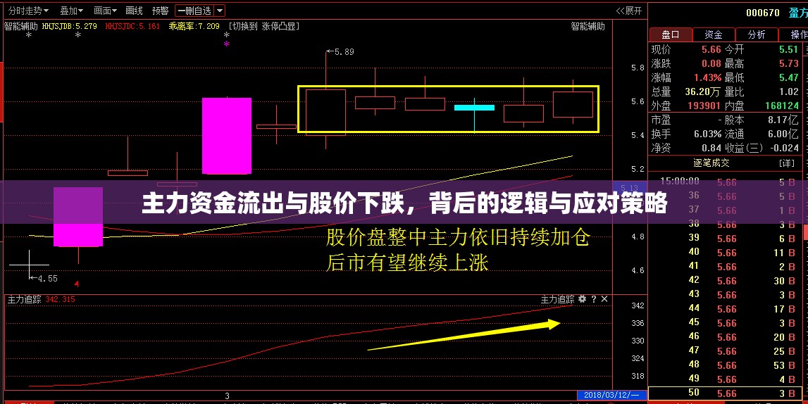 主力資金流出與股價下跌，背后的邏輯與應對策略