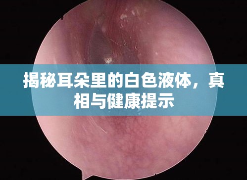 揭秘耳朵里的白色液體，真相與健康提示