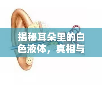 揭秘耳朵里的白色液體，真相與健康提示