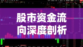 股市資金流向深度剖析，超大單流入與流出對比分析