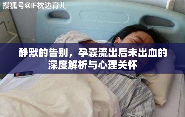 靜默的告別，孕囊流出后未出血的深度解析與心理關(guān)懷