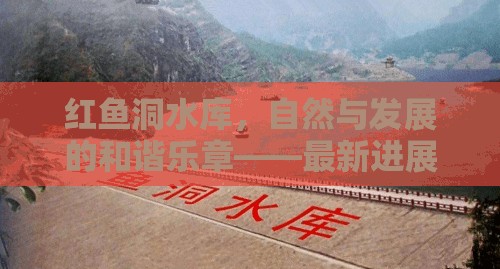 紅魚洞水庫，自然與進步的和諧交響