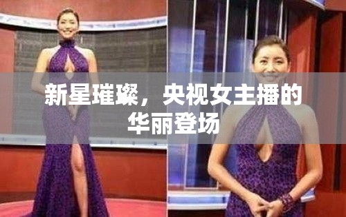 央視新星，女主播的璀璨首秀