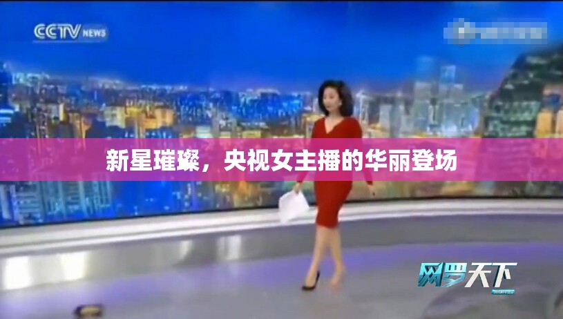 央視新星，女主播的璀璨首秀