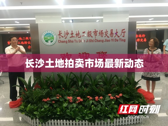 長沙土地拍賣市場最新動態(tài)解析