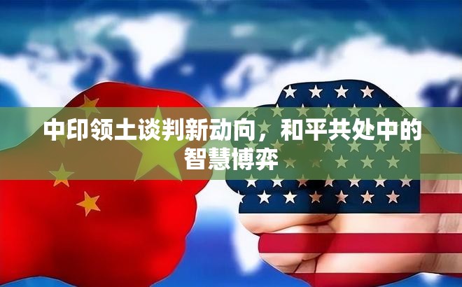 中印領(lǐng)土談判新動(dòng)向，和平共處中的智慧博弈