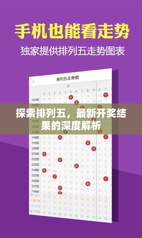 排列五開獎(jiǎng)結(jié)果深度解析，最新趨勢(shì)與數(shù)據(jù)分析