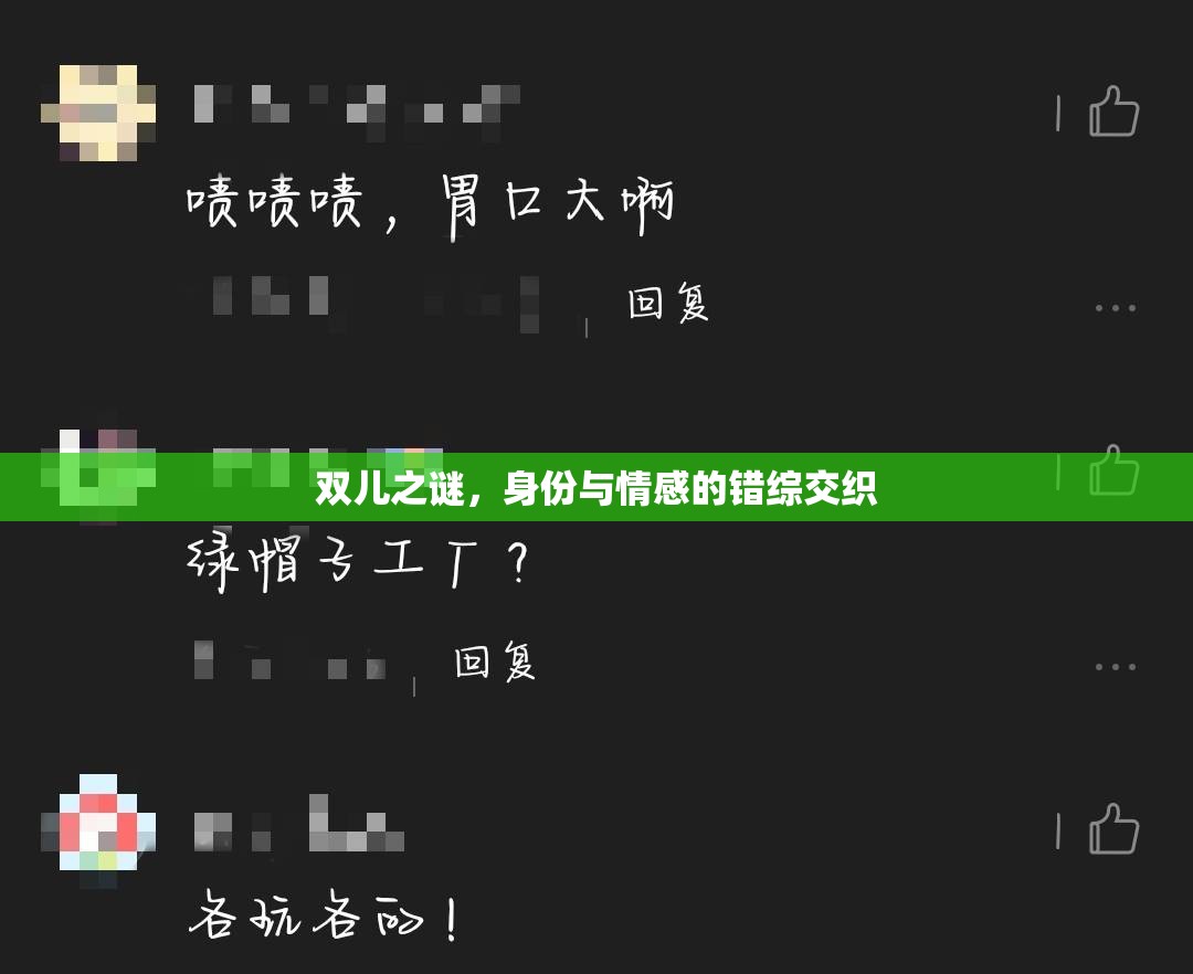 雙兒之謎，身份與情感的錯(cuò)綜交織
