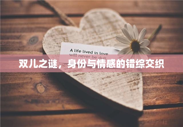 雙兒之謎，身份與情感的錯(cuò)綜交織