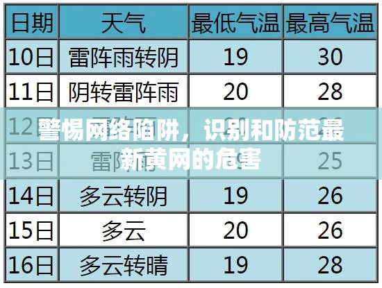 網(wǎng)絡安全指南，識別與防范黃網(wǎng)新威脅