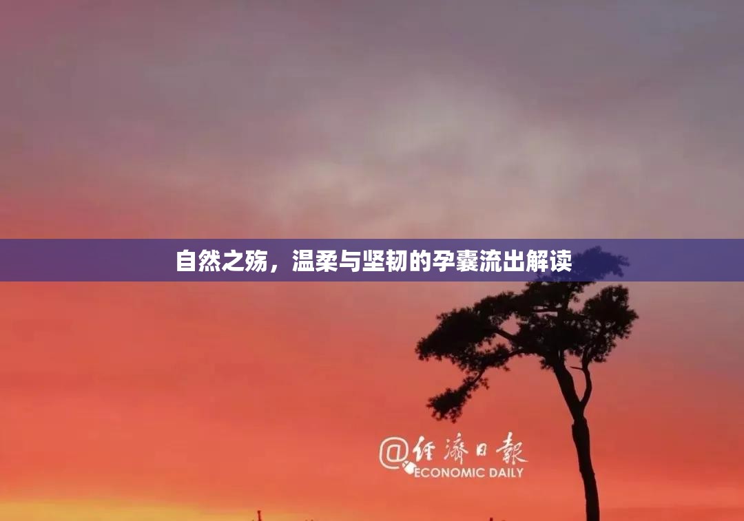 自然之殤，溫柔與堅(jiān)韌的孕囊解讀