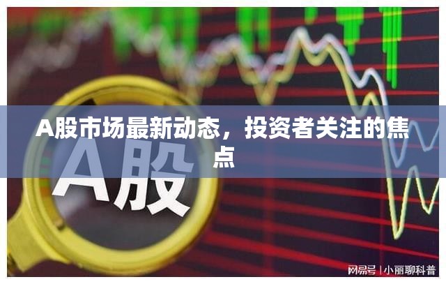 A股市場動態(tài)與投資者焦點分析