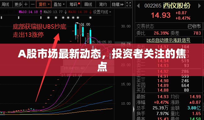 A股市場動態(tài)與投資者焦點分析