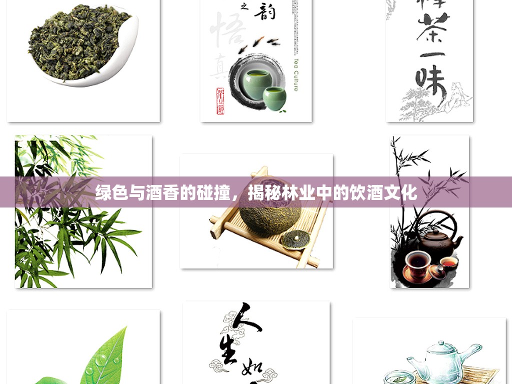 綠色與酒香的碰撞，揭秘林業(yè)中的飲酒文化