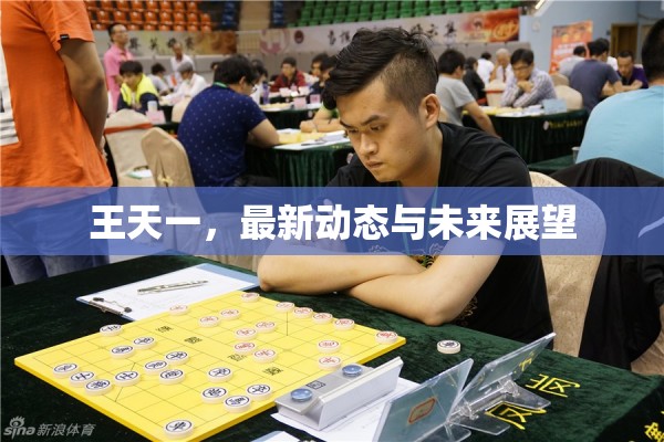 王天一，最新動態(tài)解析與未來展望