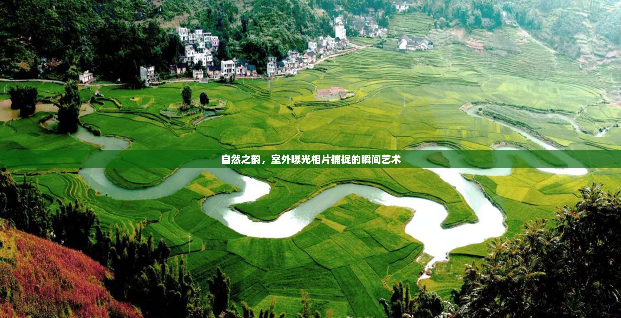 自然之韻，捕捉室外曝光瞬間的藝術(shù)