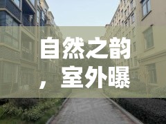 自然之韻，捕捉室外曝光瞬間的藝術(shù)