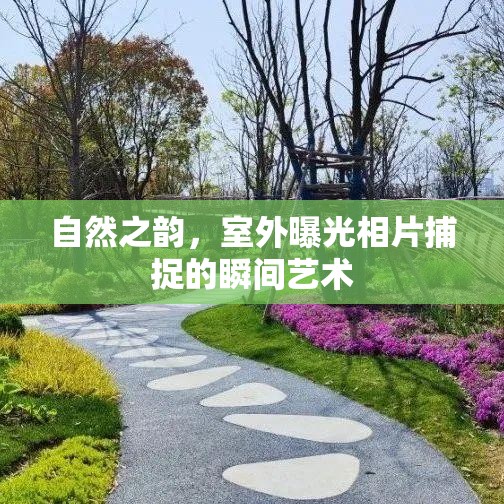 自然之韻，捕捉室外曝光瞬間的藝術(shù)
