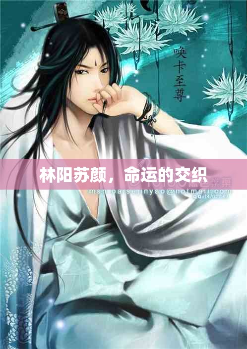 命運的編織，林陽與蘇顏的交織人生