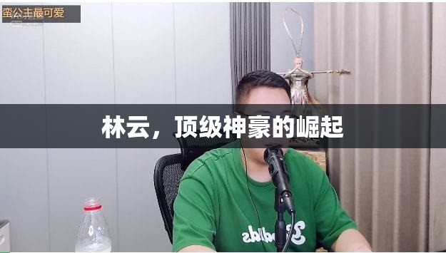 林云，神豪傳奇的崛起之路