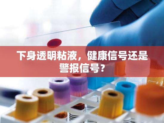 下身透明粘液，健康標(biāo)志還是潛在風(fēng)險(xiǎn)？