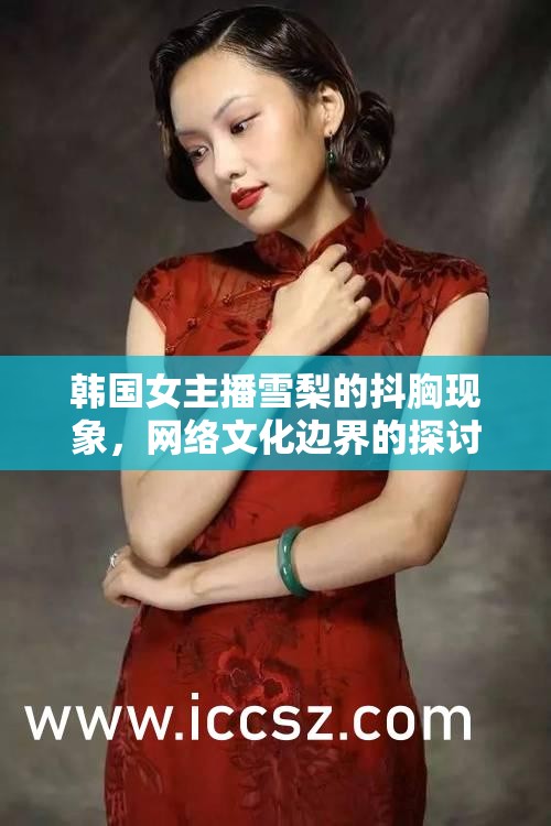 韓國女主播雪梨抖胸現(xiàn)象，網(wǎng)絡(luò)文化邊界的探討