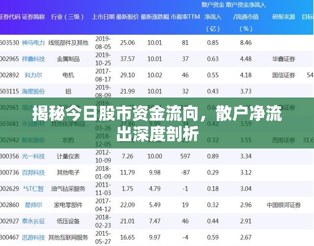 揭秘今日股市資金流向，散戶凈流出深度剖析