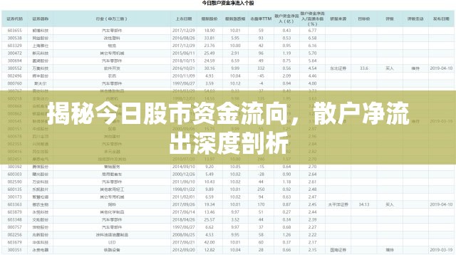 揭秘今日股市資金流向，散戶凈流出深度剖析