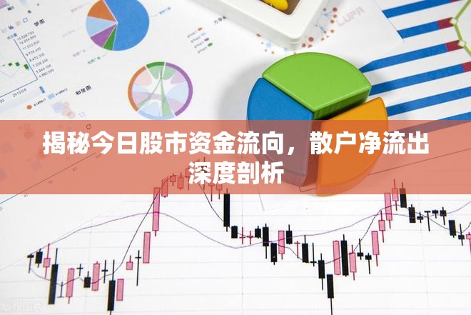 揭秘今日股市資金流向，散戶凈流出深度剖析